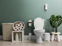 Upgrade Your Throne with a Comfort Height Toilet