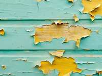 How Do I Stop Wood Rot and Dry Rot From Damaging My Home’s Exterior?