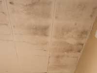 Water Stains on Ceilings: Causes, Removal, and Prevention