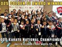 Spring Dojo Wins National Karate Award